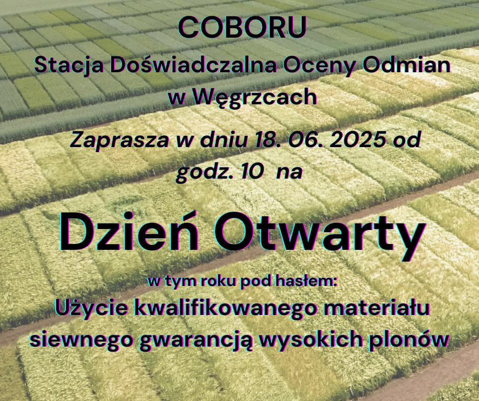 plakat:COBORU Stacja Doświadczalna Oceny Odmian w Węgrzcach Zaprasza w dniu 18.06.2025 od godziny 10 na Dzień Otwarty w tym roku pod hasłem: użycie kwalifikowanego materiału siewnego gwarancją wysokich plonów.